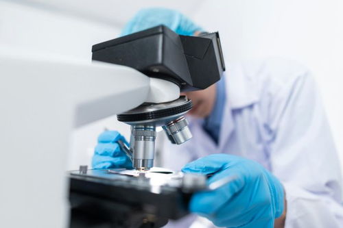 创模生物同源模型 探索生命科学的新途径